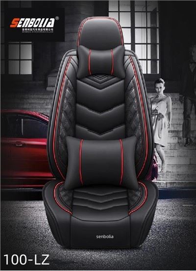 100-LZ automobilio sėdynės pagalvėlė